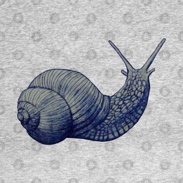 Ballpoint Snail by AndersHoberg